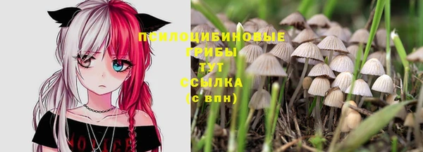 синтетический гашиш Алексин