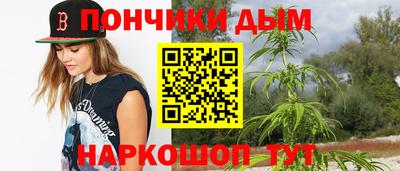 индика Абакан