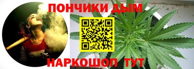 индика Абакан