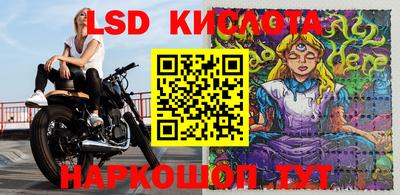 индика Абакан