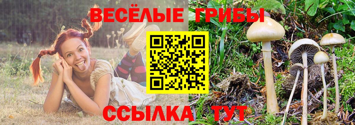 Галлюциногенные грибы Cubensis Алушта